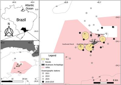 Functionality and Effectiveness of Marine Protected Areas in Southeastern Brazilian Waters for Demersal Elasmobranchs